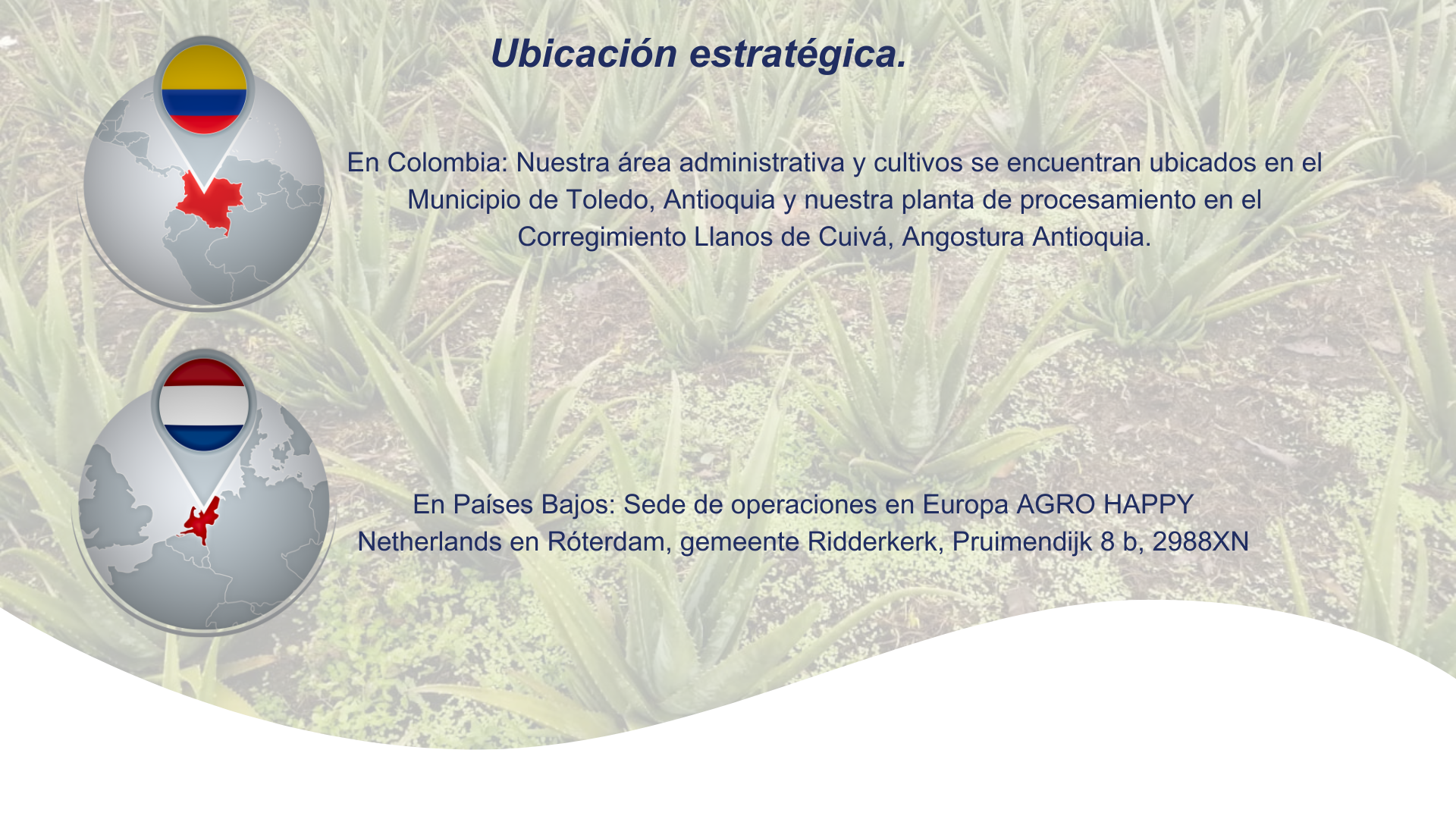 Ubicación Estrategica