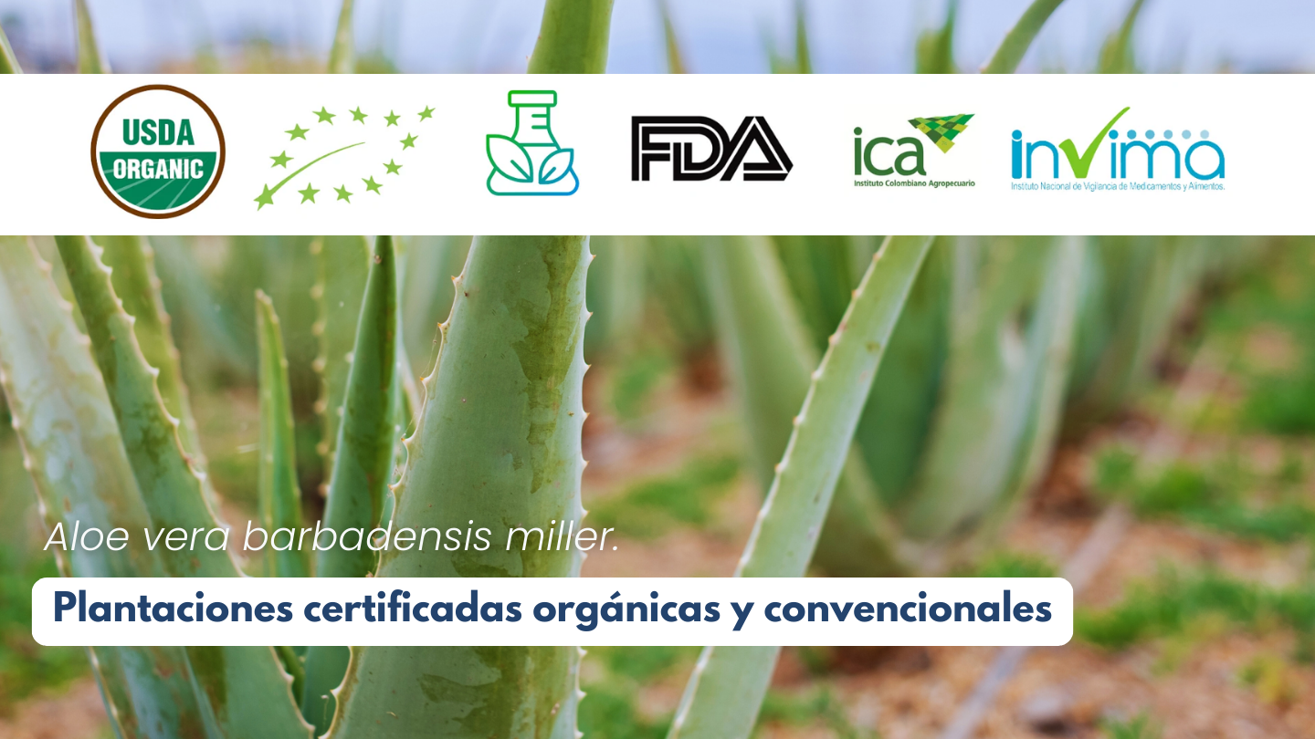 Agrofeliz - Plantaciones certificadas orgánicas y convencionales
